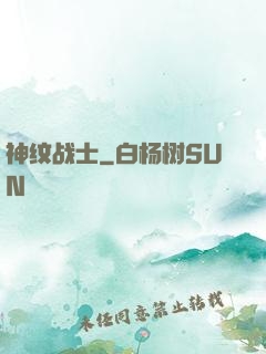 神纹战士