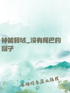 神能领域