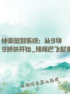 神豪签到系统：从9块9秒杀开始