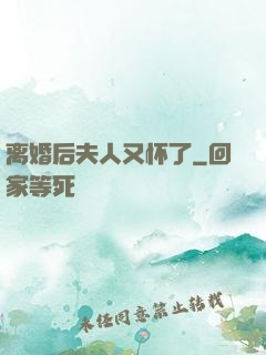 离婚后夫人又怀了