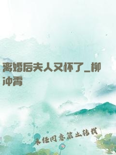 离婚后夫人又怀了