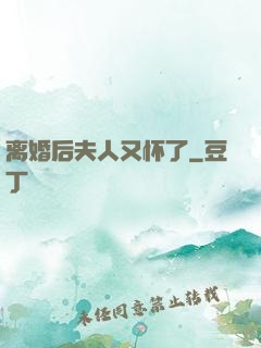 离婚后夫人又怀了