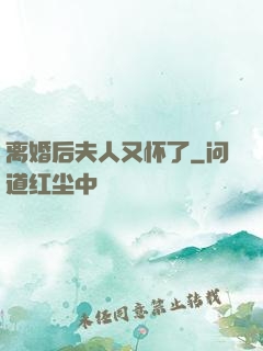 离婚后夫人又怀了
