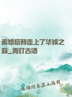 离婚后我走上了华娱之巅