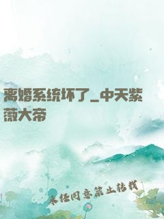 离婚系统坏了