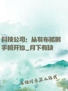 科技公司：从发布鲲鹏手机开始
