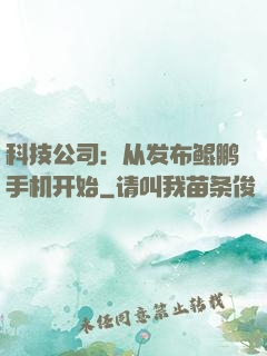 科技公司：从发布鲲鹏手机开始