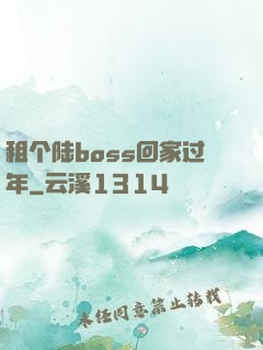 租个陆boss回家过年