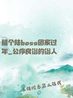 租个陆boss回家过年