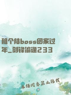 租个陆boss回家过年