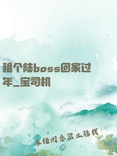 租个陆boss回家过年
