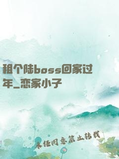 租个陆boss回家过年