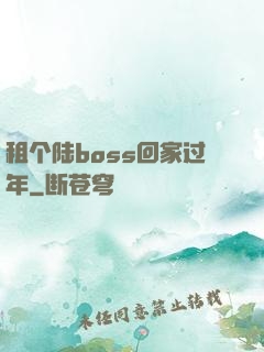 租个陆boss回家过年