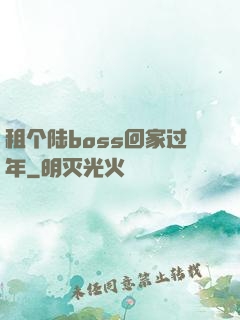 租个陆boss回家过年