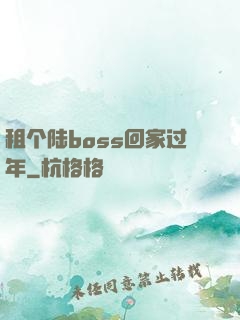 租个陆boss回家过年