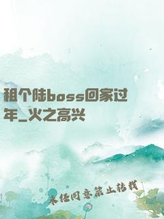 租个陆boss回家过年