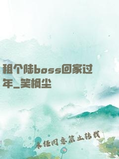 租个陆boss回家过年