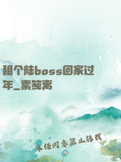 租个陆boss回家过年