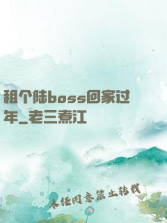 租个陆boss回家过年