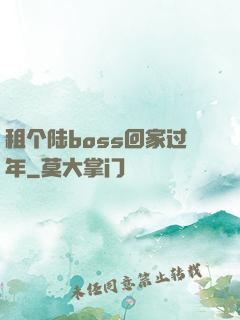 租个陆boss回家过年