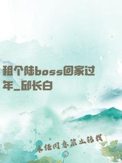 租个陆boss回家过年