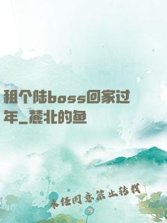租个陆boss回家过年