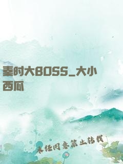 秦时大BOSS