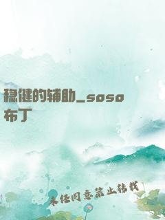 稳健的辅助