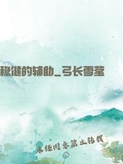 稳健的辅助