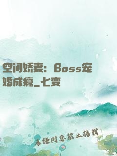 空间娇妻：Boss宠婚成瘾
