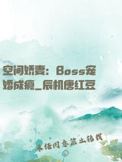 空间娇妻：Boss宠婚成瘾