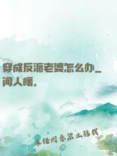 穿成反派老婆怎么办