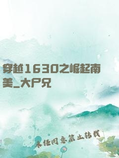 穿越1630之崛起南美