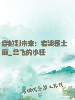 穿越到未来：老婆是土匪