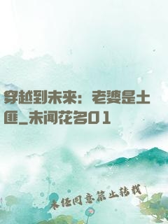 穿越到未来：老婆是土匪