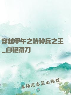 穿越甲午之特种兵之王