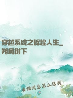 穿越系统之辉煌人生