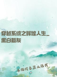 穿越系统之辉煌人生