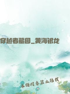 穿越者墓园