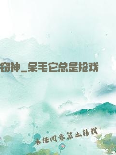 窃神