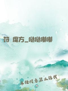 符箓魔方