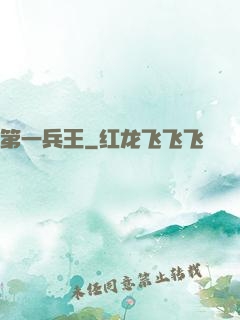 第一兵王