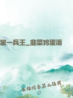 第一兵王