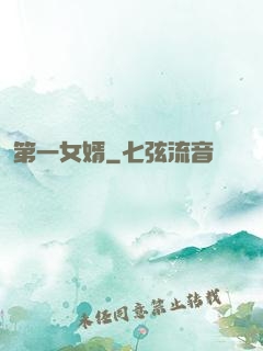 第一女婿