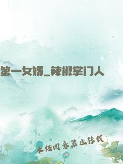 第一女婿