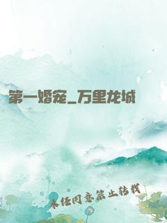 第一婚宠