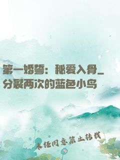 第一婚誓：秘爱入骨