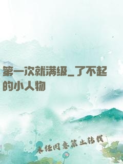 第一次就满级