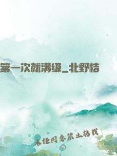 第一次就满级