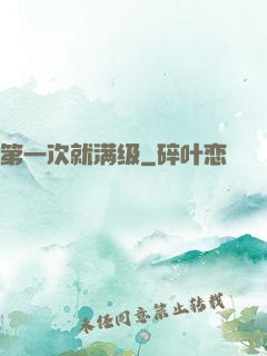 第一次就满级